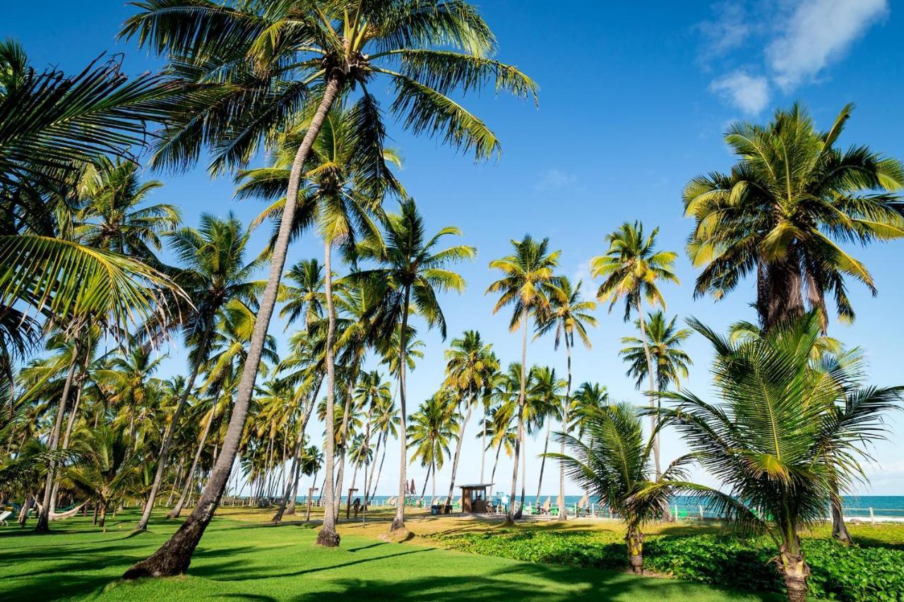 Tamandaré Paraiso Na Terra - Carneiros Beach Resort מראה חיצוני תמונה